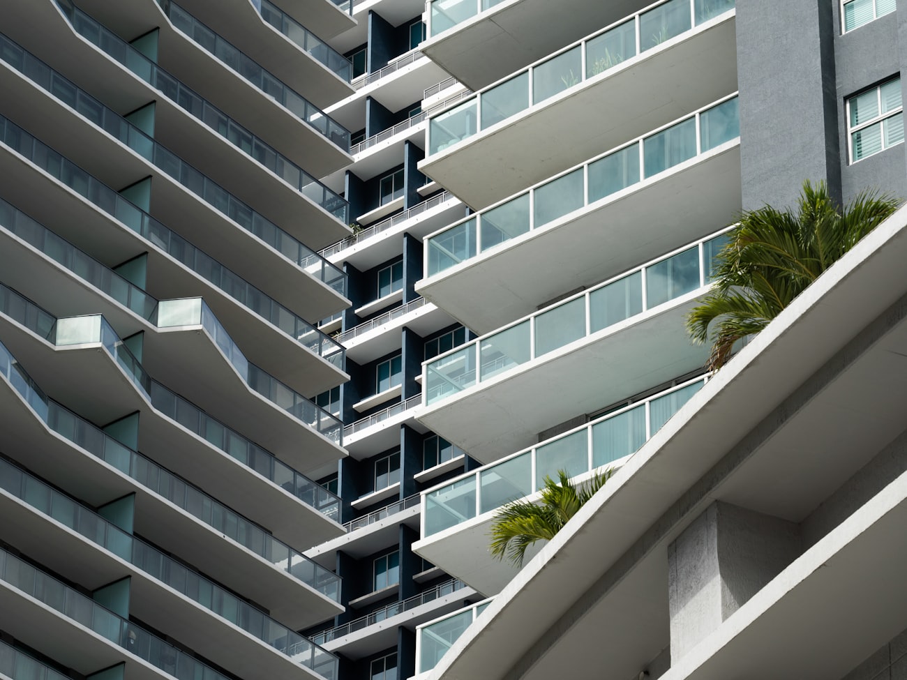 Balconies of a Florida condominium tower with a palm tree